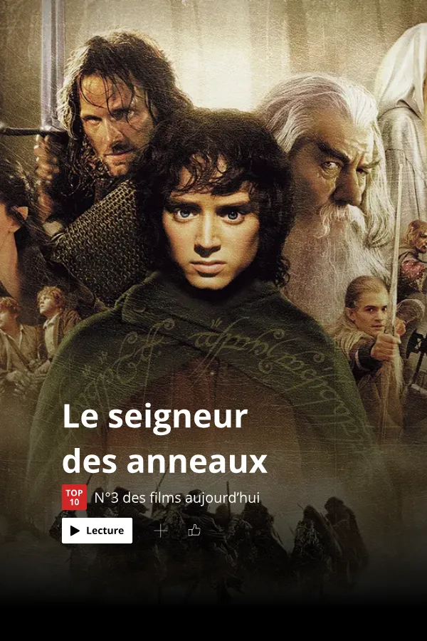 Affiche Frodon : La véritable richesse ne se trouve pas dans l'Anneau